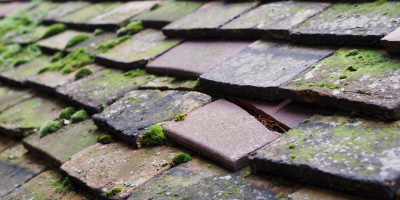 Dryslwyn roof repair costs
